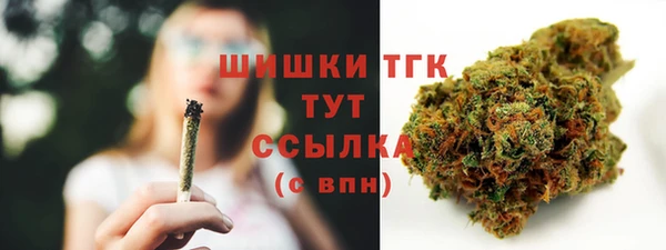 спиды Инта