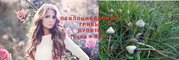 винт Инсар