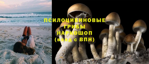спиды Инта