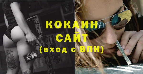 винт Инсар