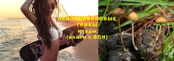 винт Инсар