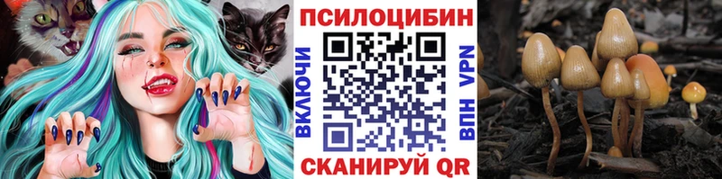 Купить где  Карасук  Галлюциногенные грибы GOLDEN TEACHER 